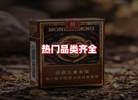专业团队